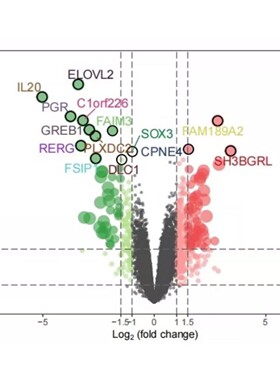 医学生信分析单细胞测序转录组TCGA GEO数据库挖掘分析服务
