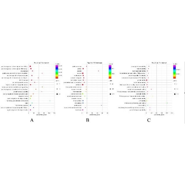 网络药理学专业代做 cytoscape作图 GO/KEGG富集 PPI网络