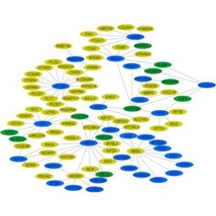 网络药理学中药复方分子对接PPI网络富集通路分析科研服务