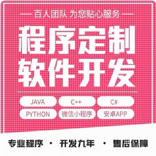 python代码编写matlab程序代编java代做c++接单r代写web深度学习C