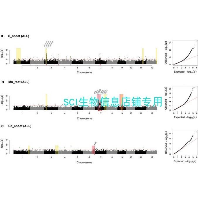 BSA数据分析/基因单倍型分析/QTL定位分析/定位区间数据提取