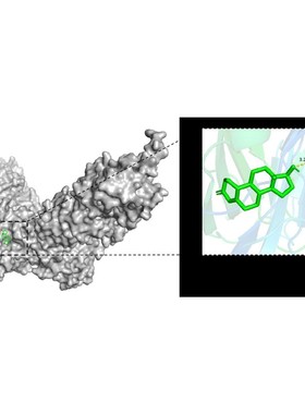 分子对接 分子动力学模拟 Autodock分子对接 PyMOL可视化