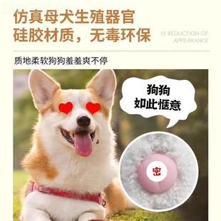 公狗交配发泄玩女具朋友情泄火发伴侣泻火泰迪比熊YIZ狗狗侣骑跨