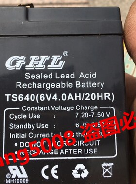 GHL TS640 6V4.0AH/20HR 玩具车 童车 小孩子电动汽车蓄电池