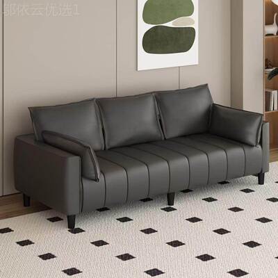 爪皮简约免猫洗小户型客厅人公寓出租FKP屋理发店人双三拼色沙发