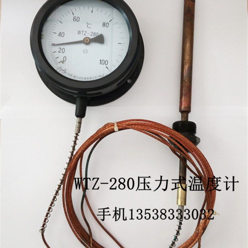 雷尔达压力式温度计WTZ/WTQ-280 0-100度锅炉工业用指针温度表