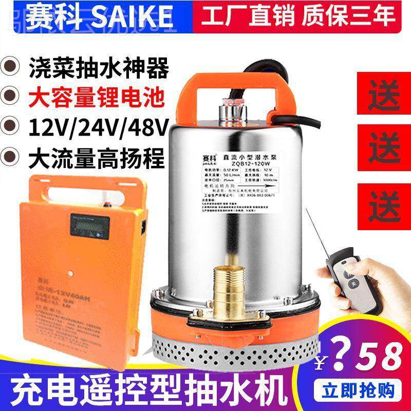 充电潜抽水泵12V水泵水电瓶泵EZC小型水泵水井农用用家抽水机浇菜