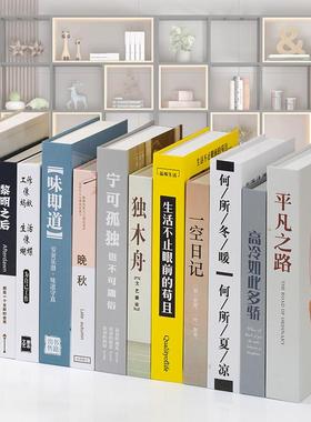现代简约中式装饰书办公室书房假书摆件商场样板间仿真书道具模型