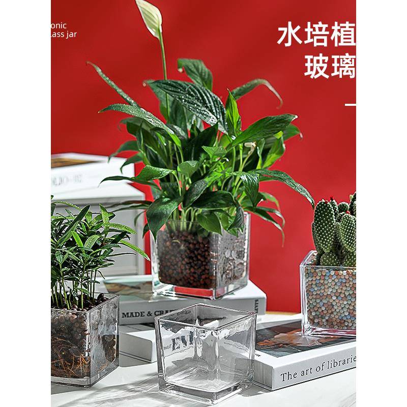 简约水培花盆正方形玻璃花瓶透明绿萝水养植物器皿乌龟缸摆件插花
