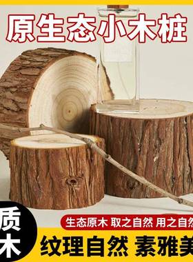 实木带皮杉木木桩园艺围栏原木石斛种植树桩花园摆件盲盒底座木头