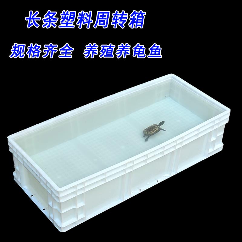 窄长型塑料乌龟箱加长加高生态带排水家用养鱼饲养水槽过滤周转箱