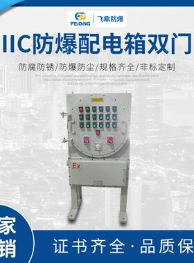 防爆照明动力配电箱IIC防爆配电箱双门照明动力配电柜