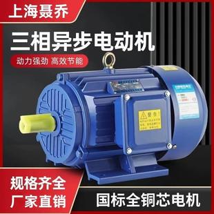 上海聂乔075 7..5kw三相异步电机国标JAV线电机铜30V三相8全铜线