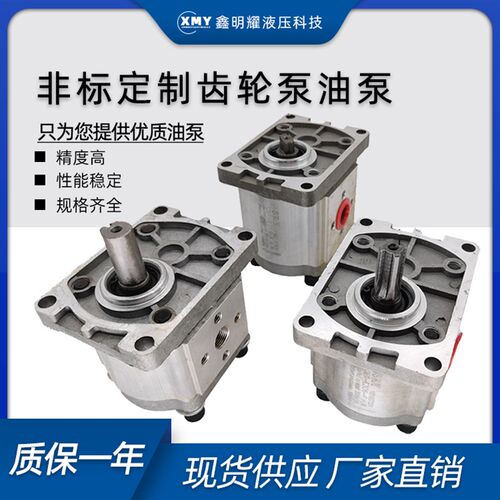 定制油泵 按照定制油泵的尺寸定制