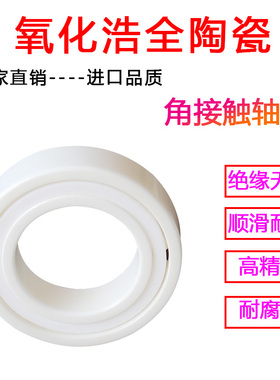 NSK进口氧化锆陶瓷角接触轴承 7205 7206 7207 7208 7209 7210 CE