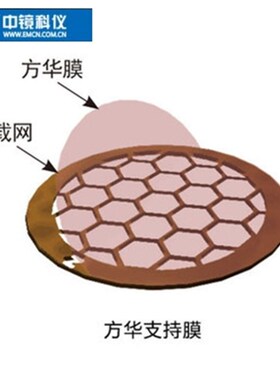中镜科仪100枚装无碳方华膜FORMVAR方华膜 TEM载网支持膜