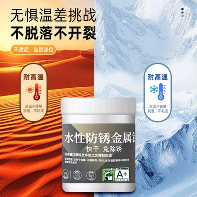 RSTER水性金属漆入户门翻新改色铁门窗户防锈防腐环保自喷漆