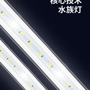 博宇鱼缸水族箱中型生态热弯玻璃造景家用客厅大型金鱼缸60-120cm