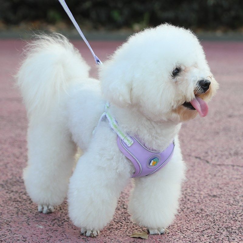狗狗牵引绳中小型犬背心式遛狗绳比熊泰迪宠物胸背带狗链子可调节,宠物/宠物食品及用品,狗牵引绳,淘宝优惠券,粉丝福利购,淘宝优惠卷