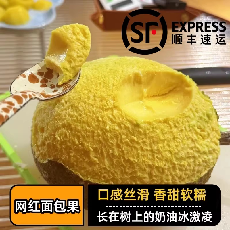 【顺丰包邮】面包果当季鲜果现摘罕见猴面包果实热带新鲜稀有水果