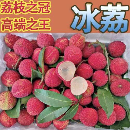 正宗特级广东增城冰荔荔枝当季新鲜现摘时令水果整箱顺丰包邮2026