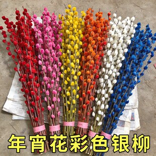 七彩银柳真花鲜枝年宵花卉红色福桶银柳水养植物干花装饰花束鲜枝