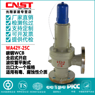200 安全阀 100 DN25 25C铸钢波纹管平衡式 WA42Y
