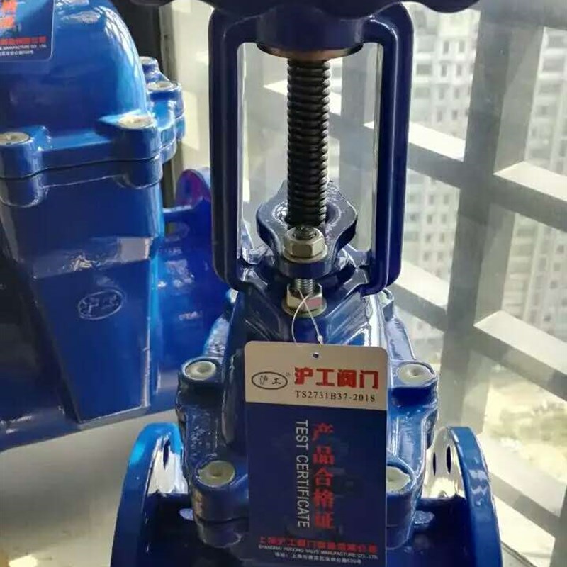 上海沪工阀门 Z41X-16Q 明杆闸阀软密封消防DN50 80 100 150 200