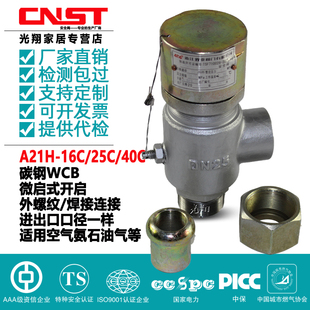25C 40C 铸钢碳钢弹簧微启式 A21H DN10 16C 外螺纹安全阀 DN50