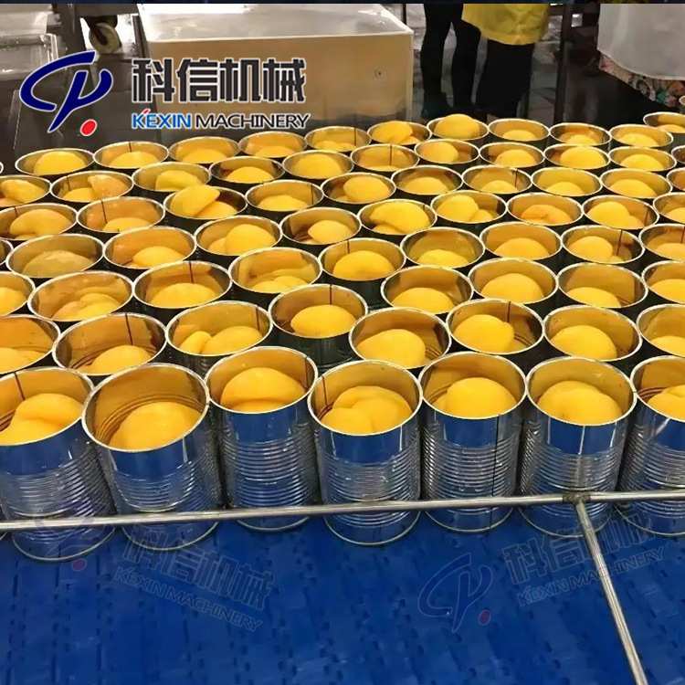 整套桔子罐头生产线 小型橘子罐头加工设备 柑橘罐头制作设备