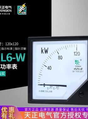 天正42L6-W指针式三相有功功率表400/5380V250KW瓦特表120*120
