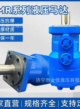 液压马达低速大扭矩BM2/BMR/OMR扫雪摆线低速大马力液压马达