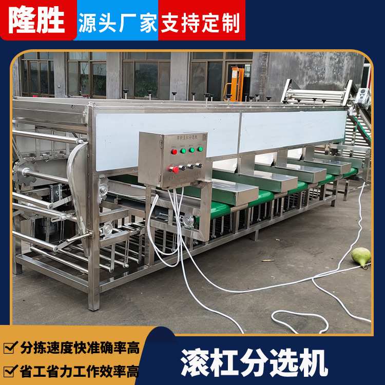 隆胜芋头滚杠分级机 红枣分选设备 全自动油桃百香果大小分选机