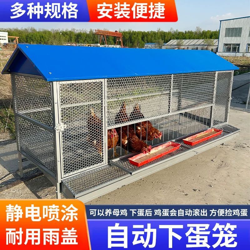 尖顶养殖笼鸡鸭兔笼防黄鼠狼防鼠蛇不生锈户外养鸡棚养鸡笼子家用