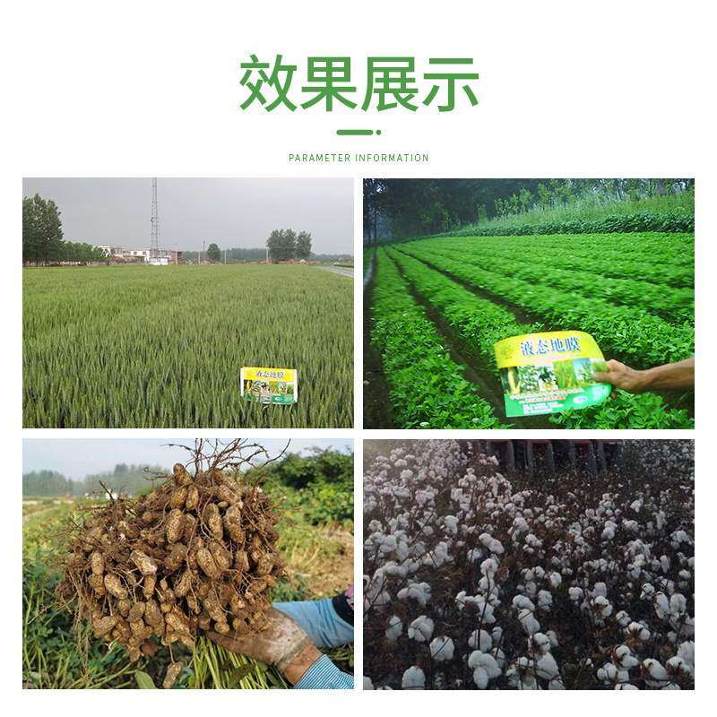 金河液态地膜大棚塑料薄膜液体农膜保温生物降解水膜