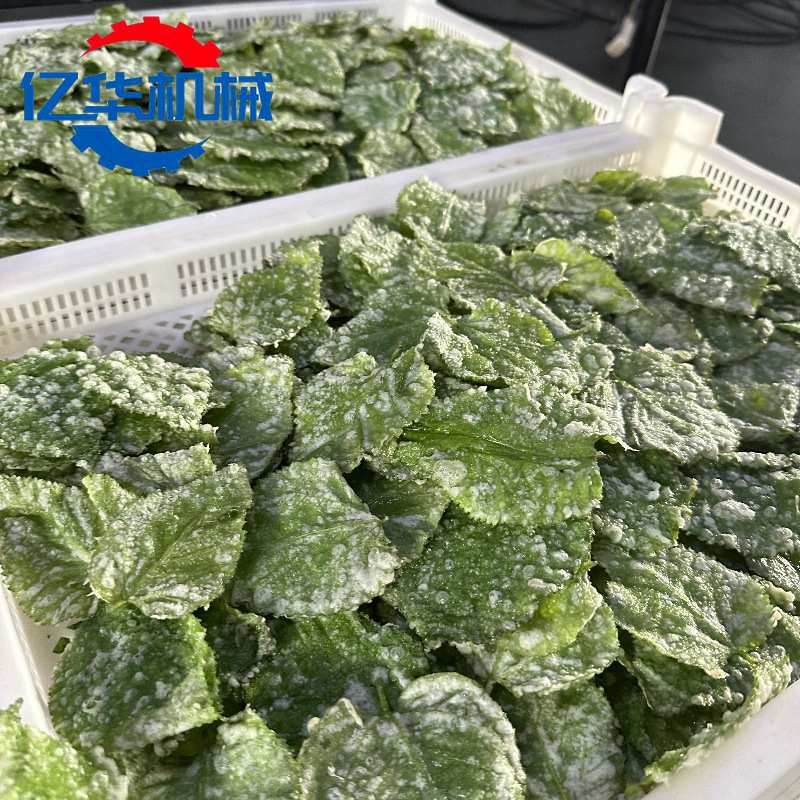 桑叶上浆油炸机 香酥翠叶油炸全套设备 全自动蘑菇油炸流水线