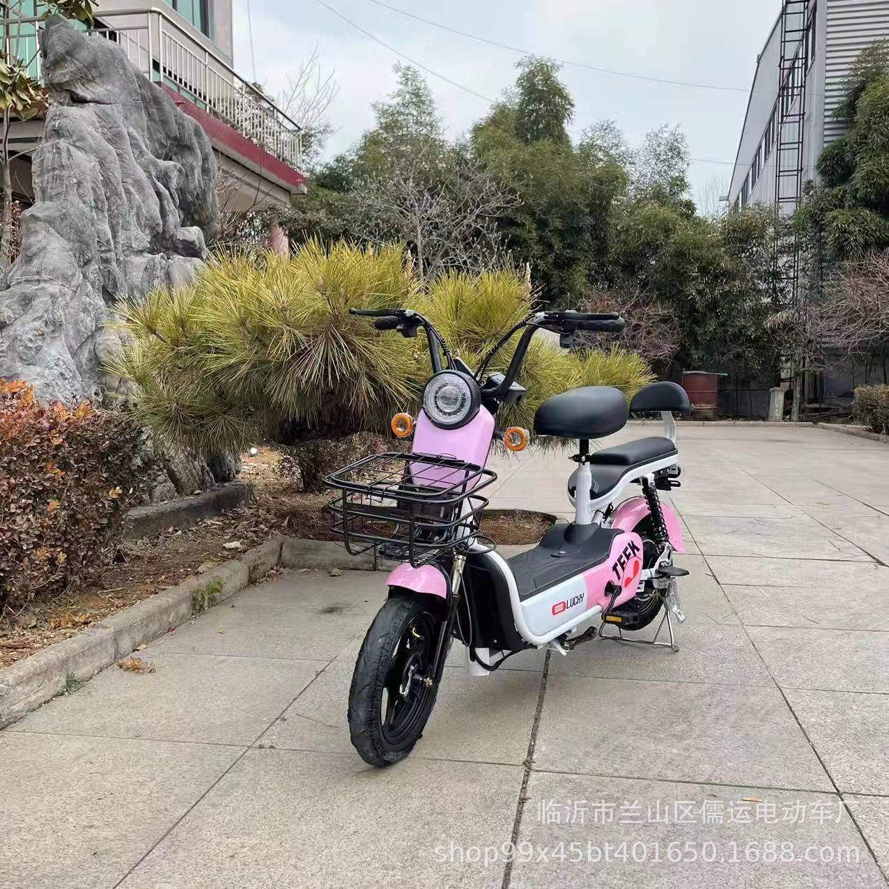 库里南欢乐豆两轮电动自行车电瓶48V车轻便手提电池盒东南亚