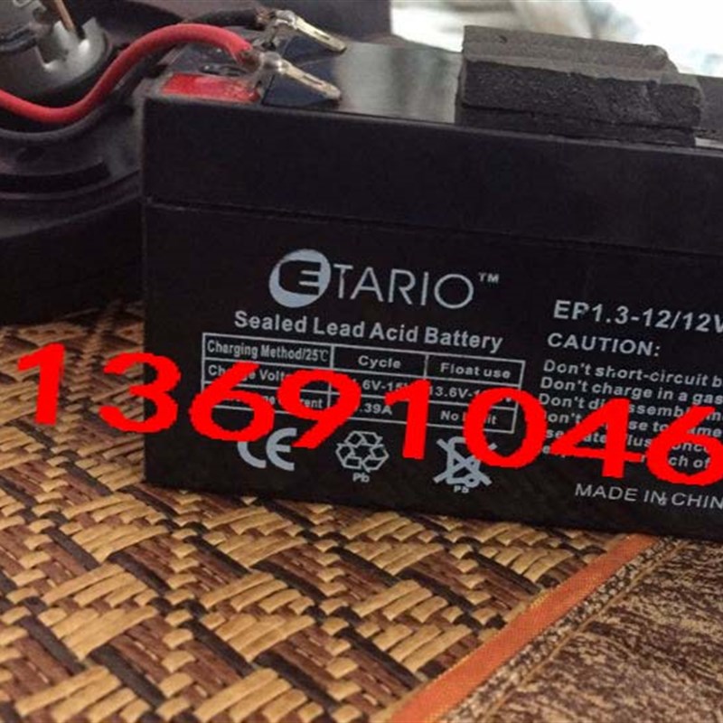 全新ETARIO电池 EP1312 12V13AH/20HR 消防主机应急电源蓄电池