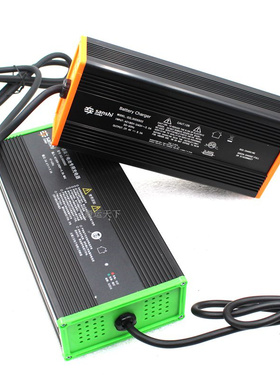 诺力天罡15吨电动托盘搬运车锂电池充电器294V8A充电DZL30SS02