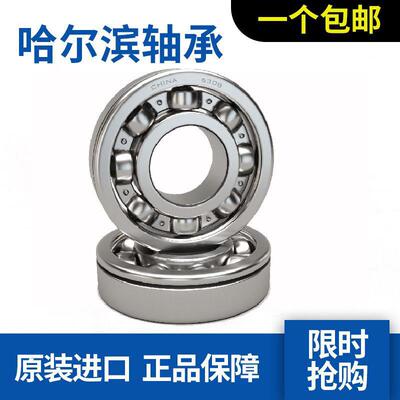 哈尔滨轴承6216N 6217N 6218N 6219N 6220N 6221N 6222N 6224N