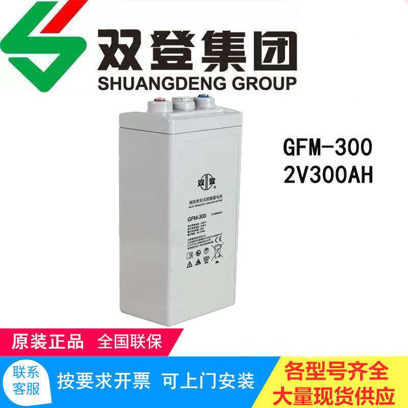 双登蓄电池GFM-300 2V300AH/UPS/EPS/直流屏后备电源专用质保三年