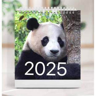 福宝台历大熊猫福宝和爷爷福宝一家2026年台历新款周边桌面礼物