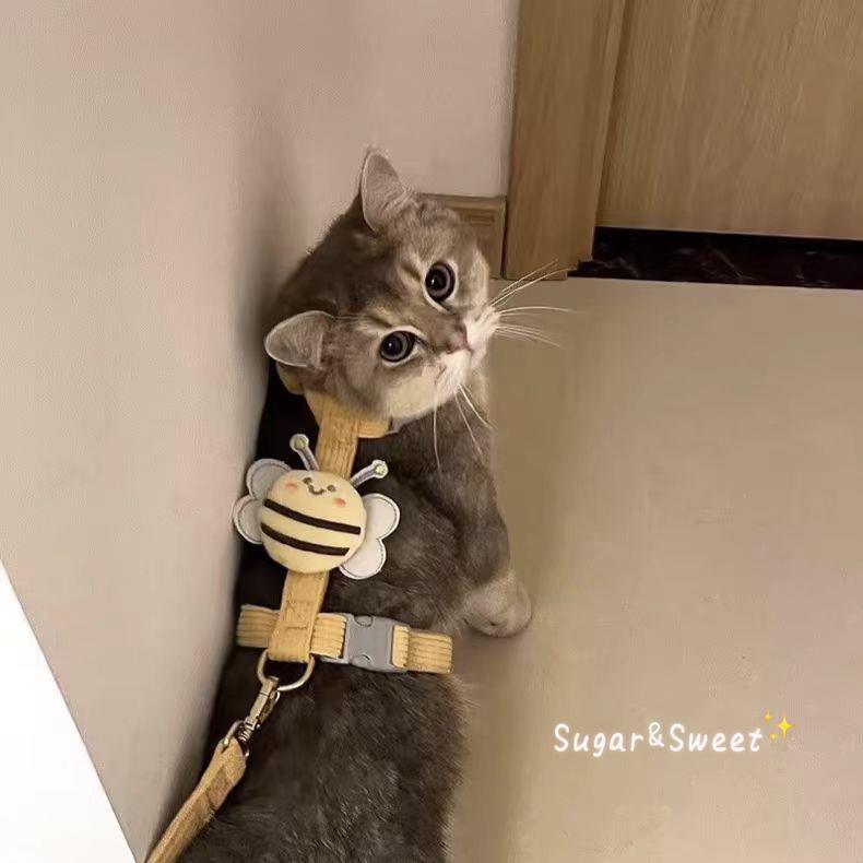 猫咪牵引绳胸围狗狗宠物出行遛猫绳防挣脱工字可调节金渐层幼小猫