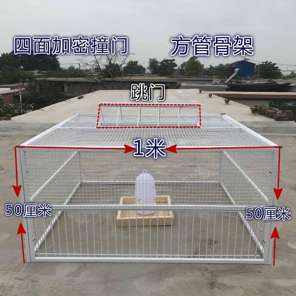 天落笼捕天落四面埋伏方管螺丝固定结实耐用捕鸽子笼方便灵活放跑
