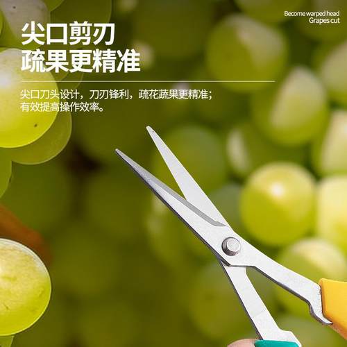 翘花头葡HOT萄剪剪疏果剪疏剪葡萄修果剪刀修枝剪花刀艺弯头修穗