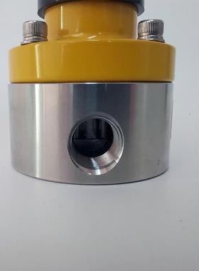 SS316SL/S3AHI04 压背阀 不锈钢背压 阀 计量泵附件 RXBF-系列螺