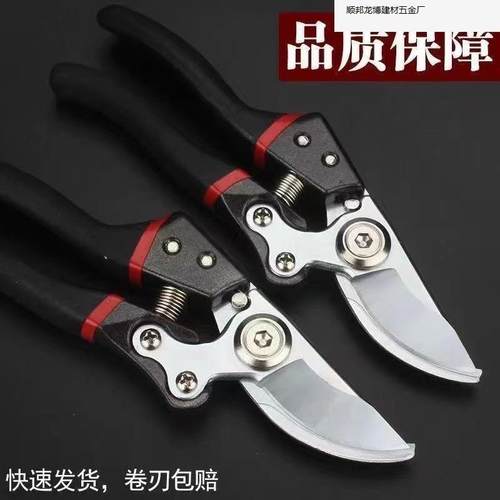 德国ZED进卉口SK剪5园艺园林花果修枝剪树剪子树剪.厂家直销