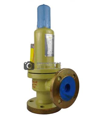 一351A全42Y弹簧启防爆封闭式安全法阀氧气石油微启A4永1Y兰泄压