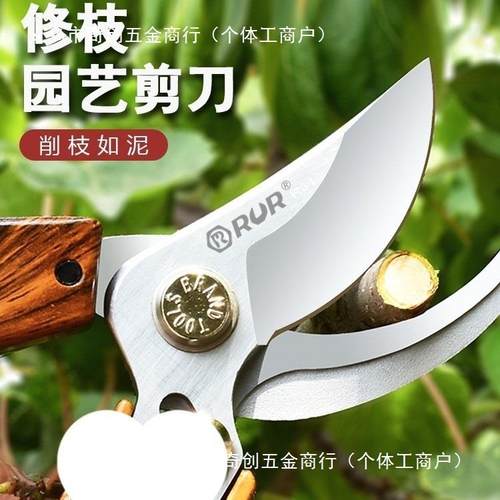 厂艺家厂家剪园剪刀粗花剪果花艺修枝树剪77287096修剪剪刀园林树
