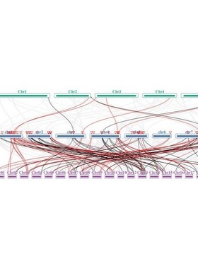 物种内基因家族分析/基因结构分析/motif分析/数据分析
